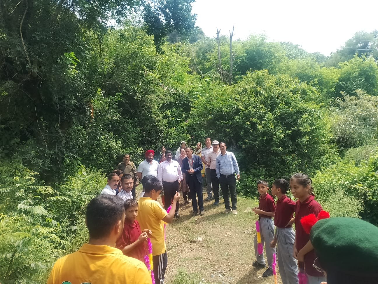Plantation drive by the Organization in August 2026